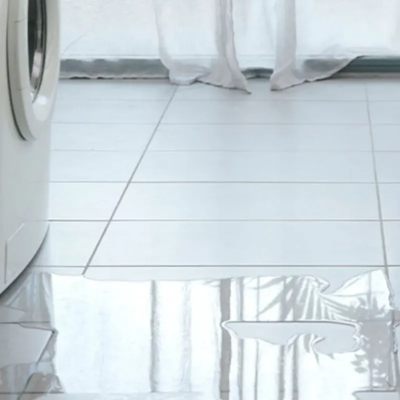 Appliance Leak Cleanup in Bolingbrook, IL