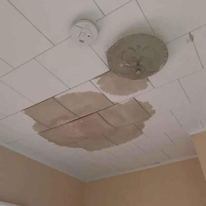 Ceiling Water Damage Repair in Bolingbrook, IL