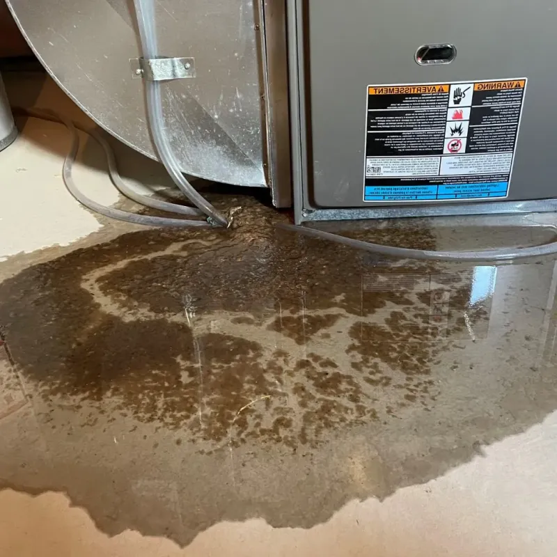 Pipe Burst and Leak Restoration in Bolingbrook, IL